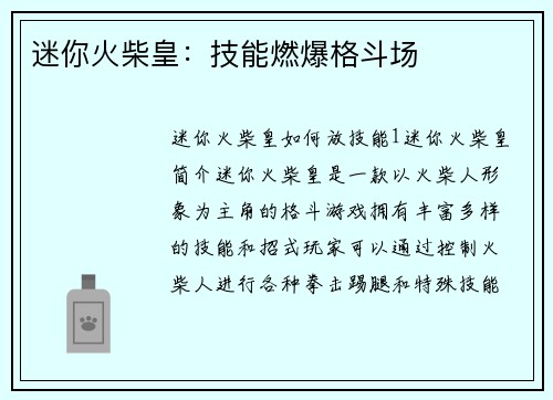 迷你火柴皇：技能燃爆格斗场